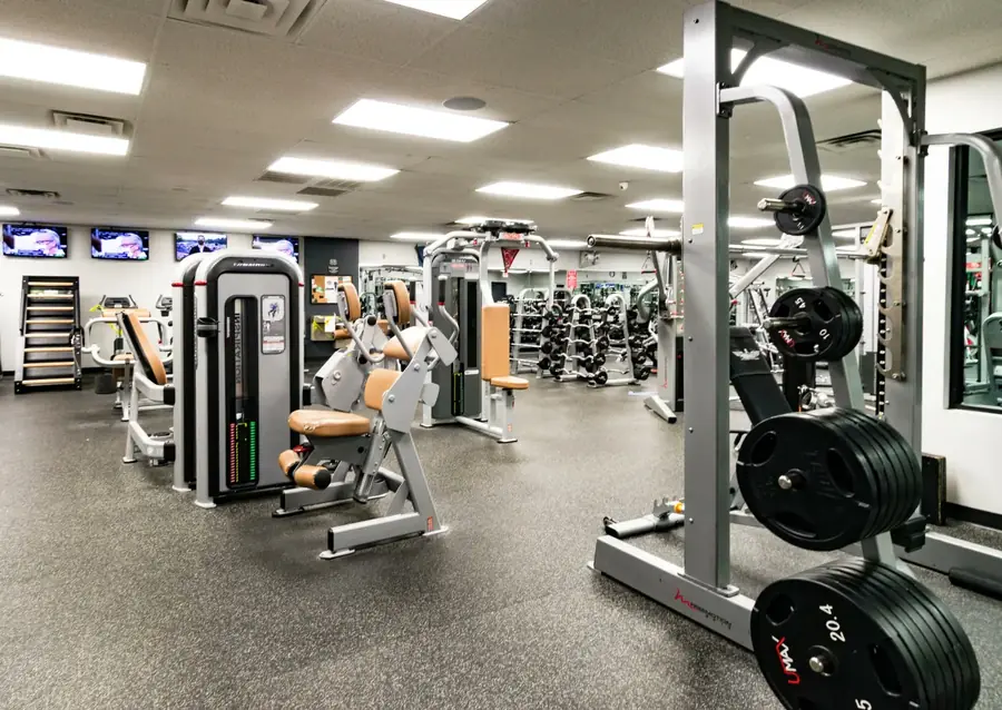 The machine floor: cable stations, plate-loaded machines and the plate tree