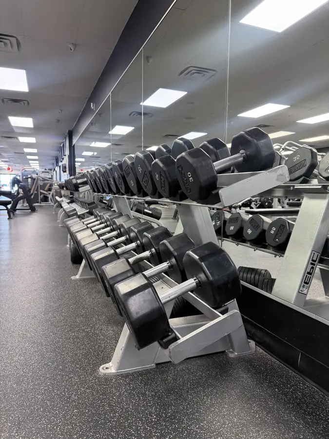 A two-tier dumbbell rack in the free-weight room