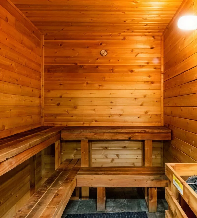 A dry sauna seen from the door: tiered benches and the heater