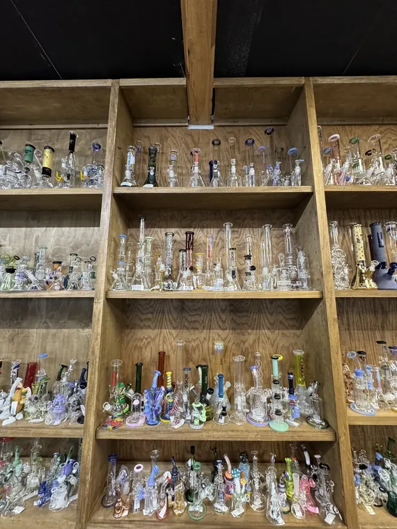 A wall of small rigs and bubblers on wooden shelving